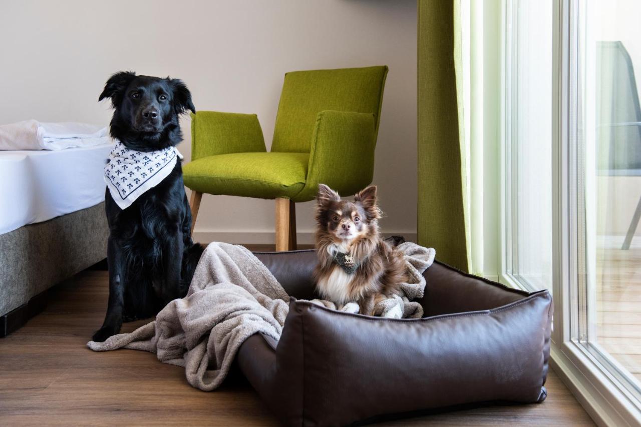 فندق Schnitzers Dahoam - Hundefreundlich باد ويسي المظهر الخارجي الصورة